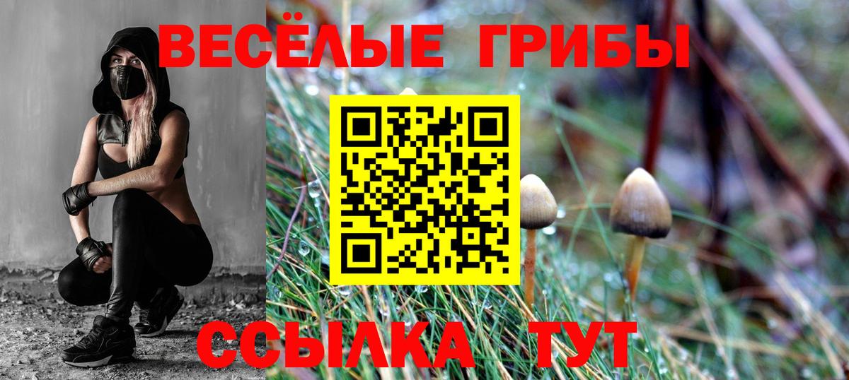 Петрозаводск  Галлюциногенные грибы Magic Shrooms  Вход с VPN 