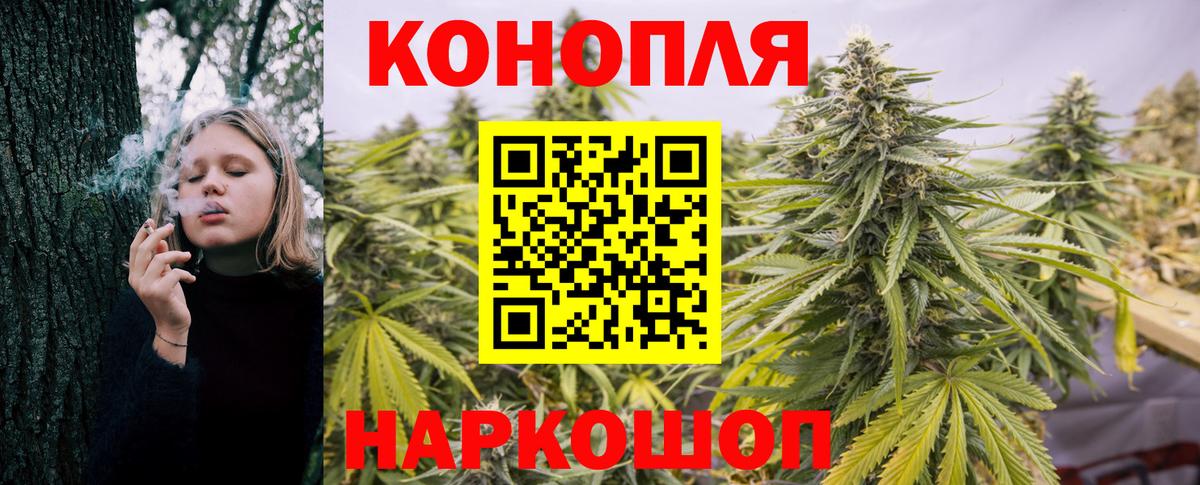 Бошки Шишки тримм Петрозаводск